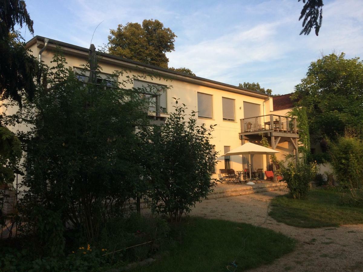 Kranichhof - Studio, Loft & Atelier 조센 외부 사진