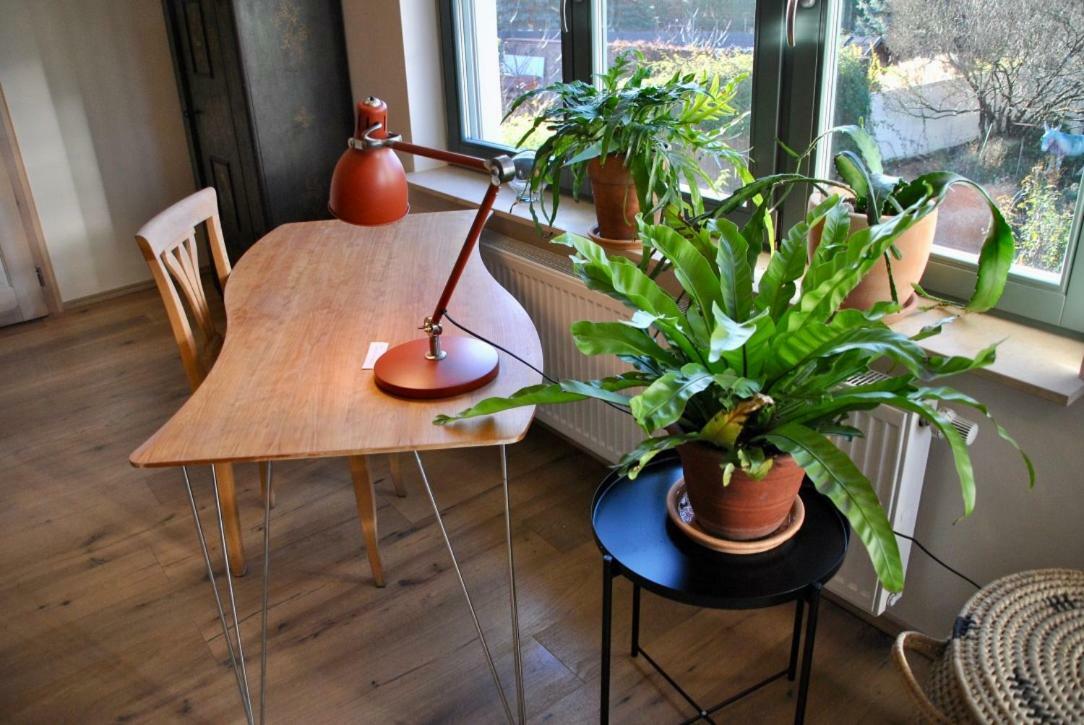 Kranichhof - Studio, Loft & Atelier 조센 외부 사진